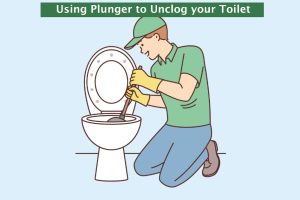 MyDearWatson_Plunger_to_Unclog_Toilet